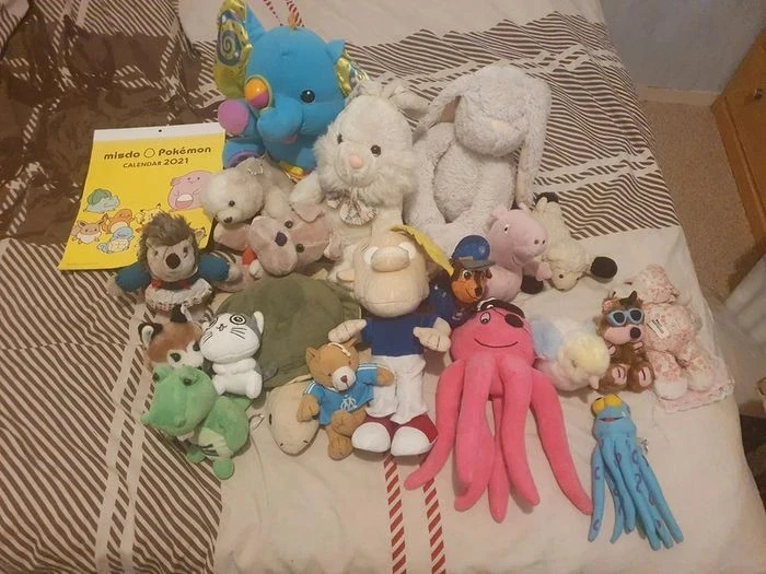 🌸Lots de 17 peluches et 3 offert
